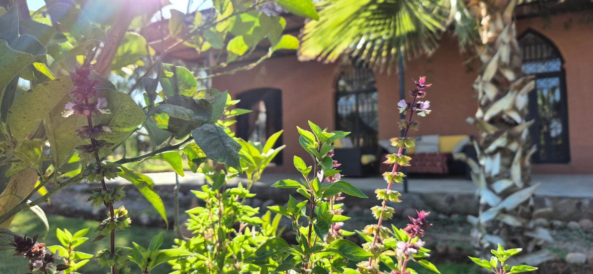 La Terra Rosa Hotel Douar Akkara Luaran gambar