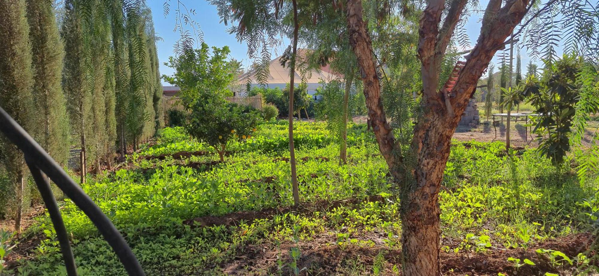 La Terra Rosa Hotel Douar Akkara Luaran gambar